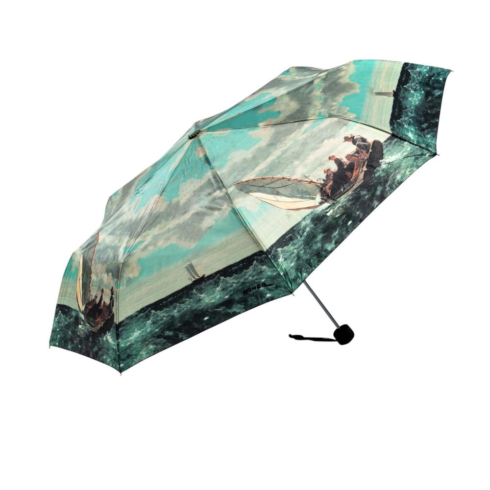 LUCKYWEATHER Regenschirm Taschenschirm Mini Damen/Herren Motiv Breezing Up