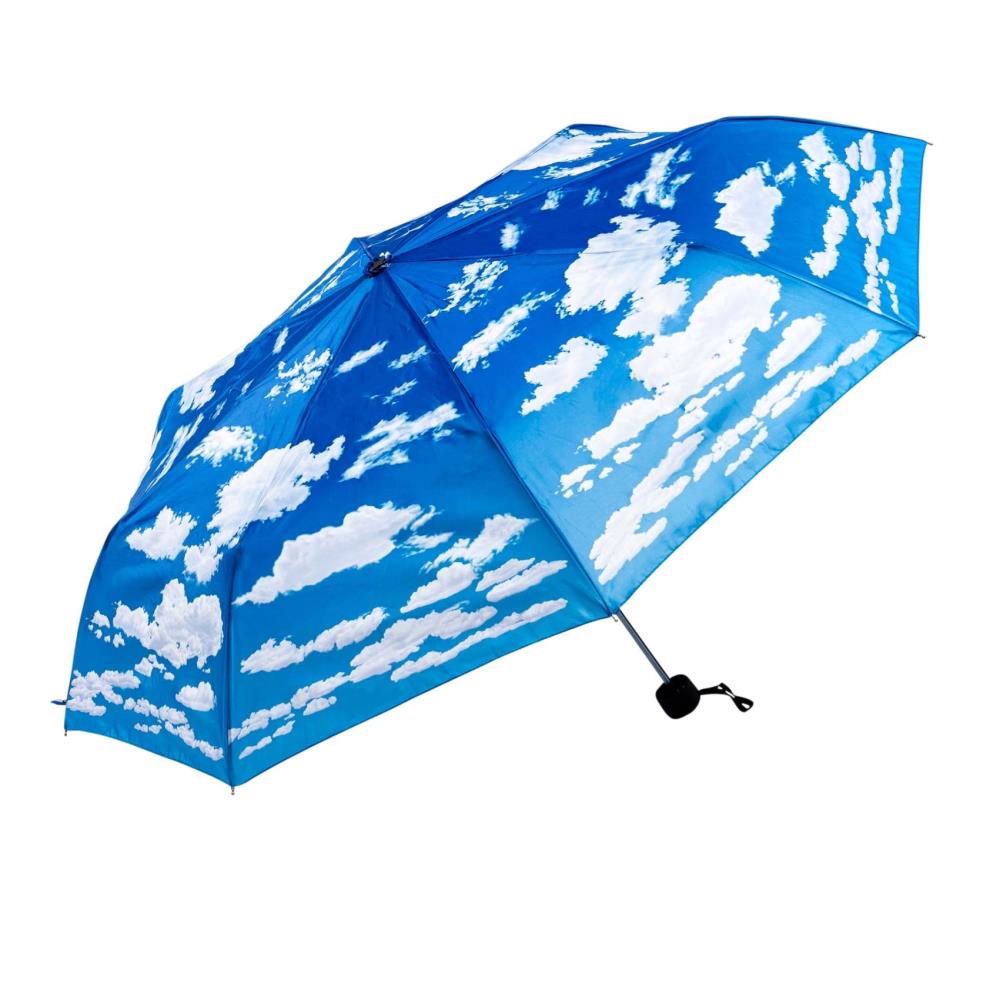 LUCKYWEATHER Regenschirm Taschenschirm Mini Damen/Herren Motiv Wolken