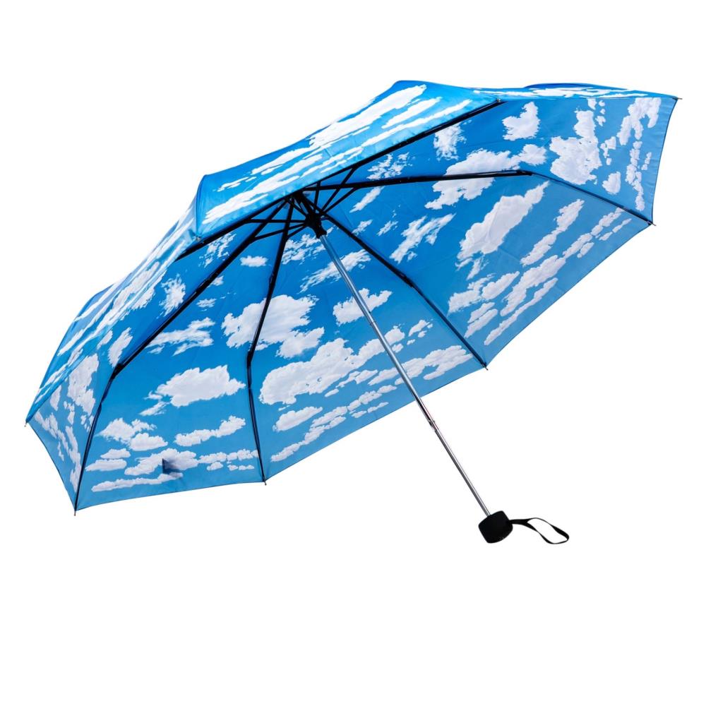 LUCKYWEATHER Regenschirm Taschenschirm Mini Damen/Herren Motiv Wolken